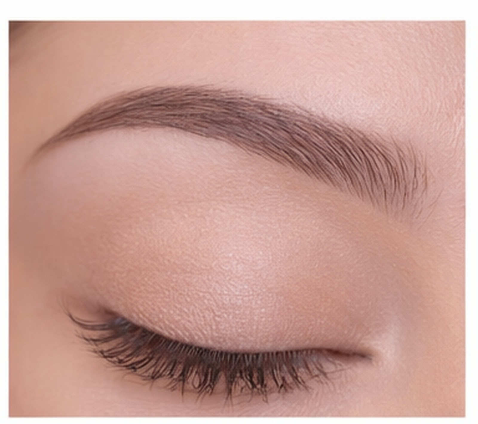 Brows — wax & tint